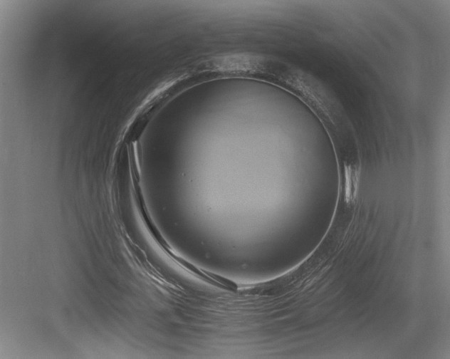 X0000084010723200702161200
