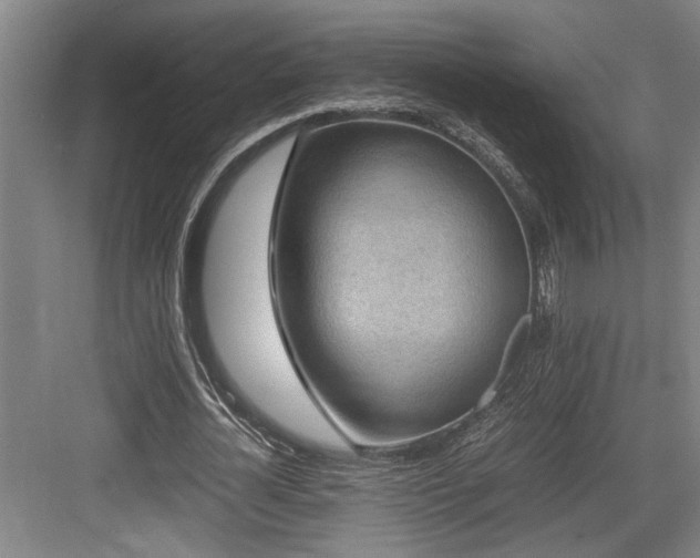 X0000084010724200702161200