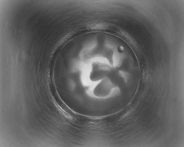 X0000084010725200702161201