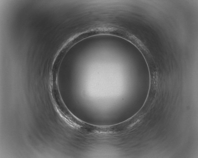 X0000084010726200702161201