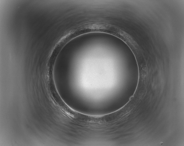 X0000084010727200702161201