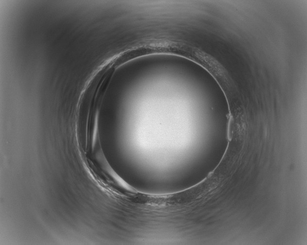 X0000084010728200702161201