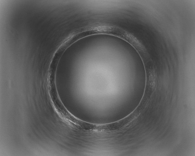 X0000084010730200702161201