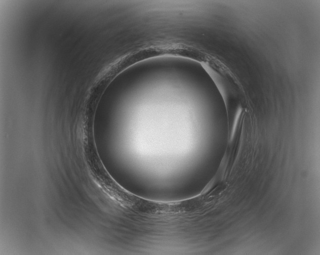 X0000084010732200702161201
