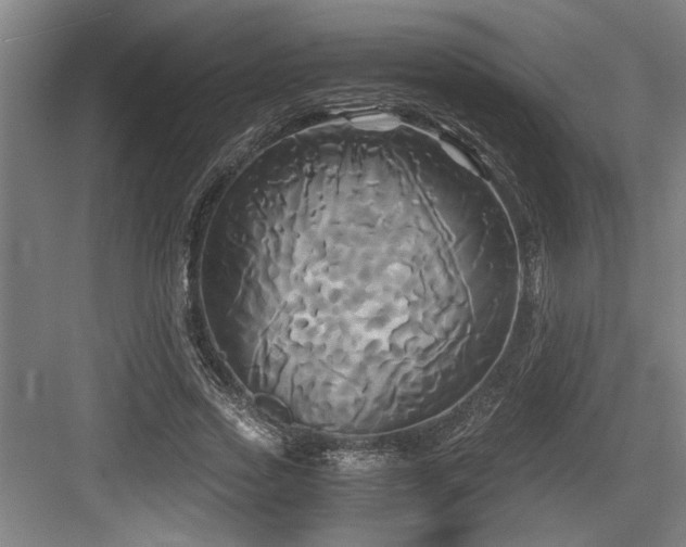 X0000084010733200702161201