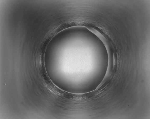 X0000084010740200702161201