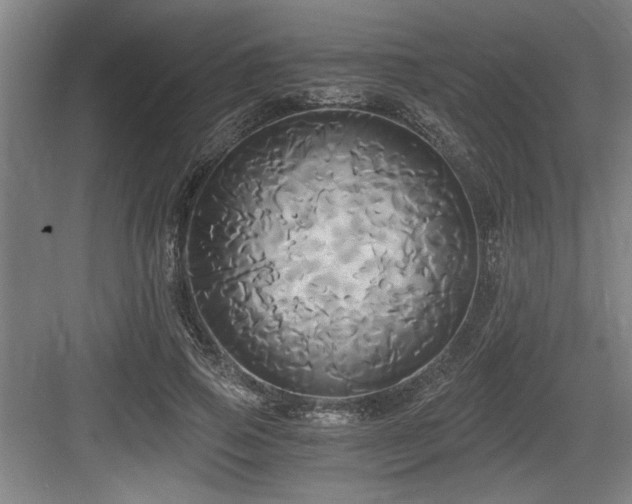 X0000084010741200702161201
