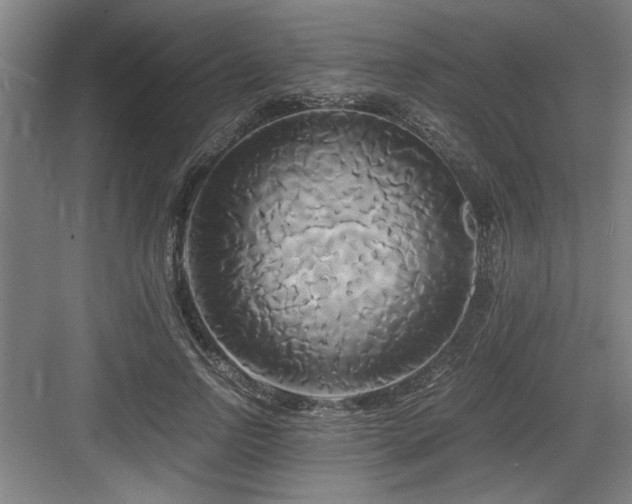 X0000084010742200702161201