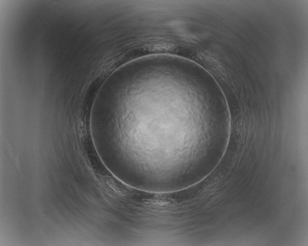 X0000084010743200702161201