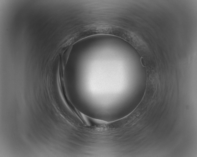 X0000084010744200702161201