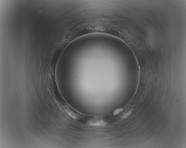 X0000084010747200702161201
