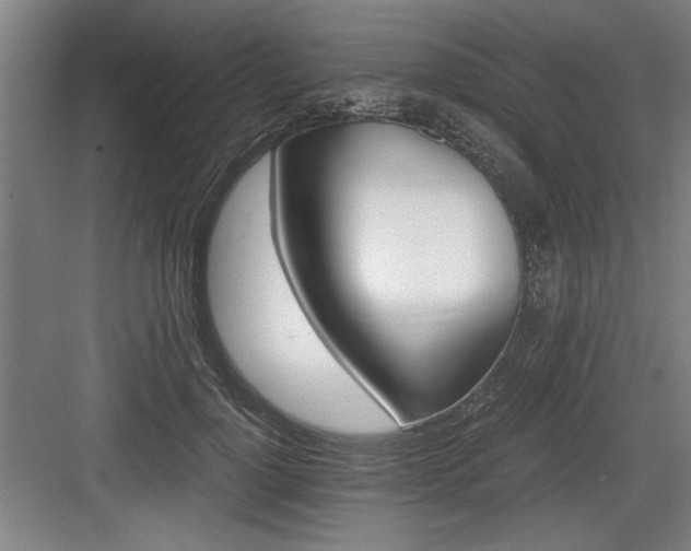 X0000084010748200702161201