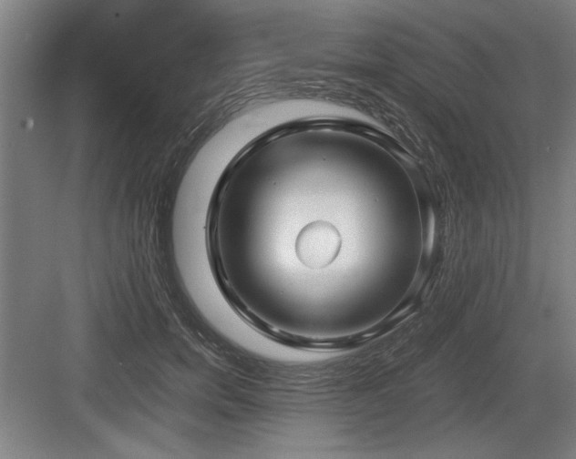 X0000084010750200702161201