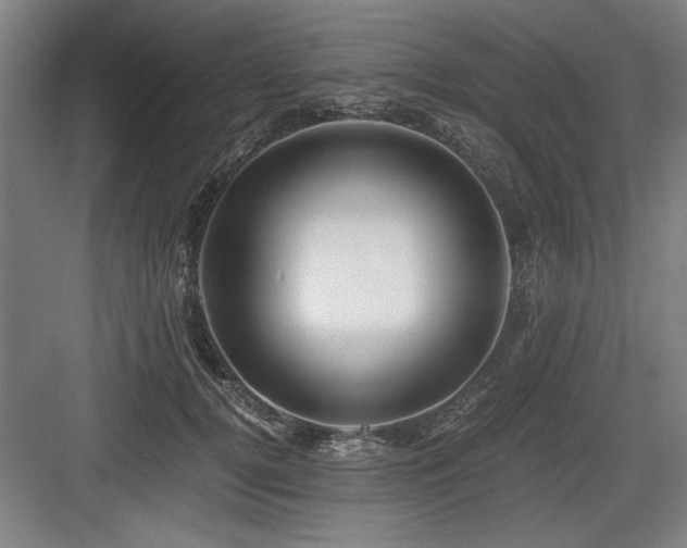 X0000084010752200702161201