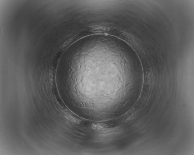X0000084010753200702161201