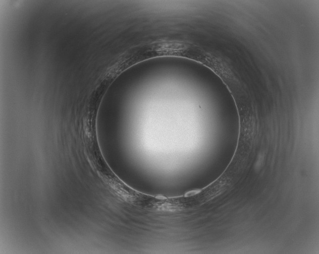 X0000084010755200702161201