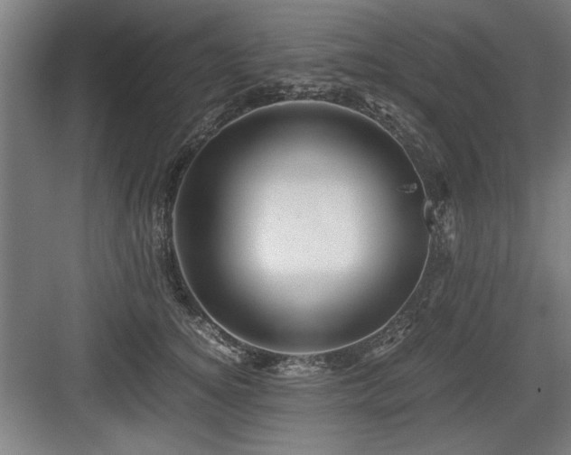 X0000084010756200702161201