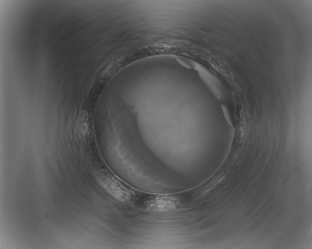 X0000084010758200702161201