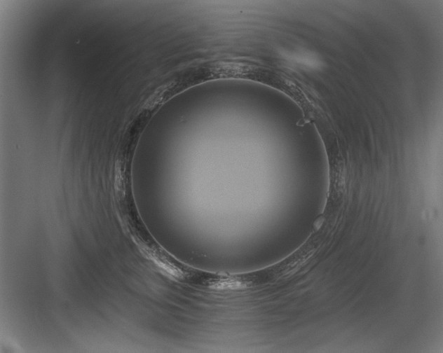 X0000084010759200702161201
