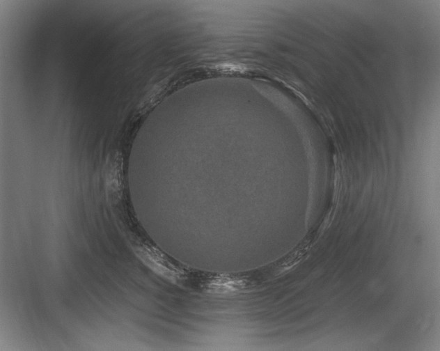 X0000084010760200702161201