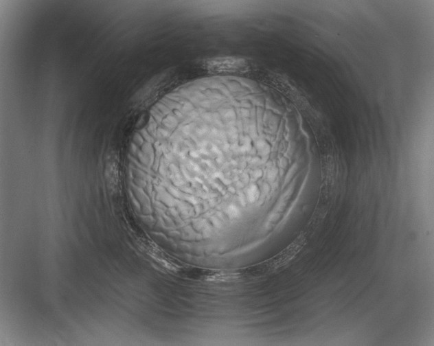 X0000084010761200702161201