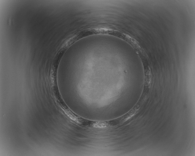 X0000084010762200702161201