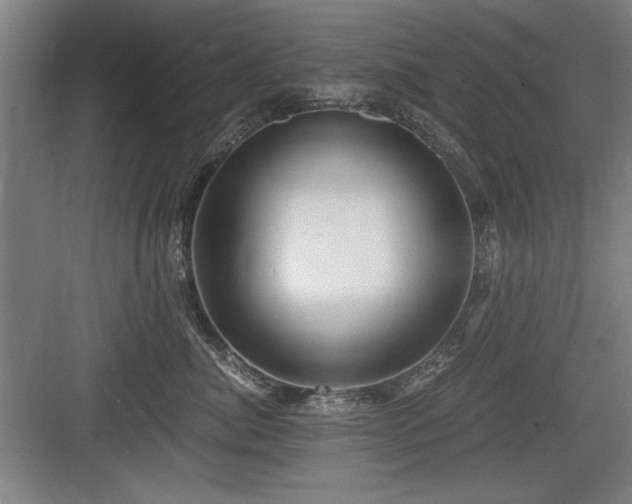 X0000084010764200702161201