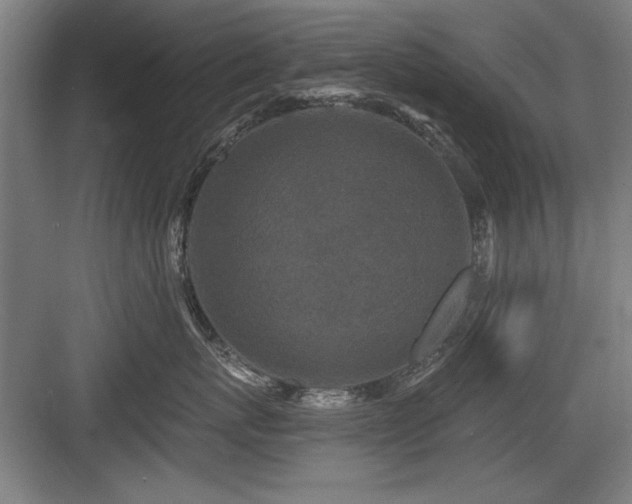 X0000084010767200702161201