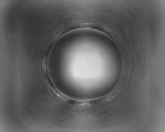 X0000084010768200702161201