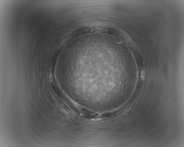 X0000084010771200702161200