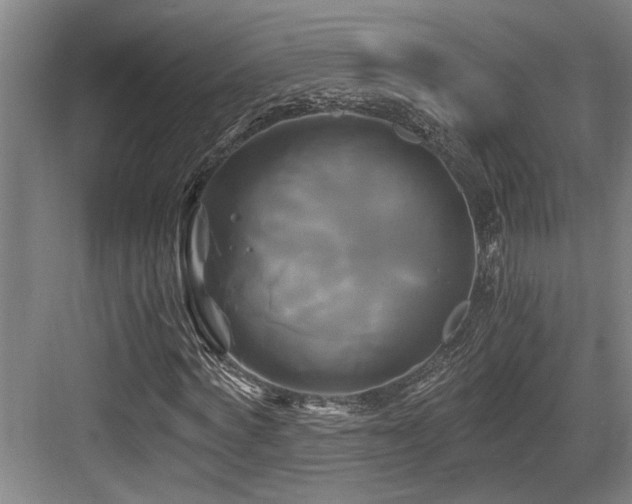 X0000084010772200702161200