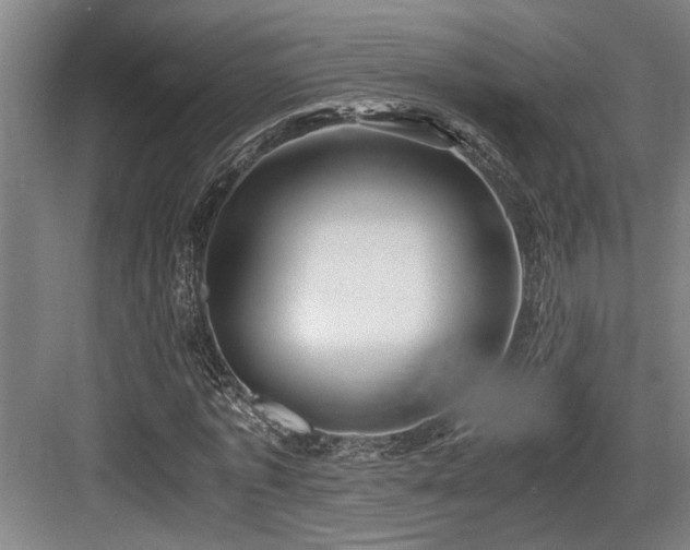 X0000084010773200702161200