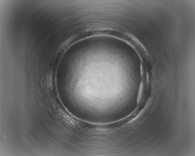 X0000084010777200702161200