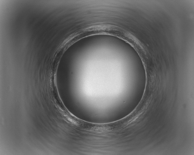 X0000084010778200702161200