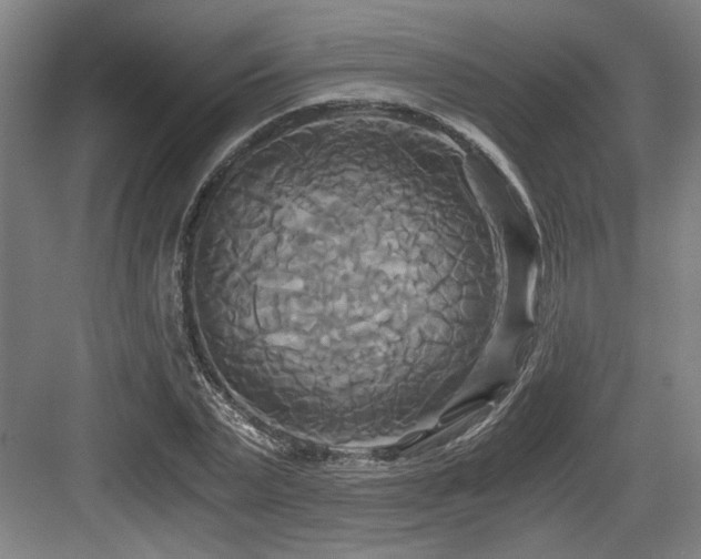 X0000084010783200702161200