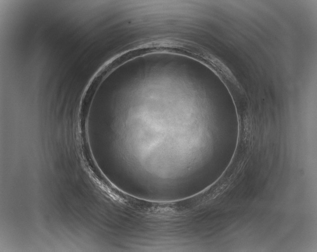 X0000084010784200702161200
