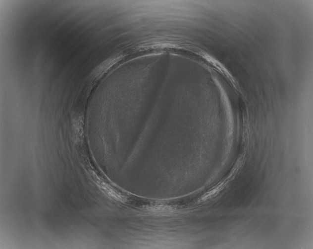 X0000084010785200702161200