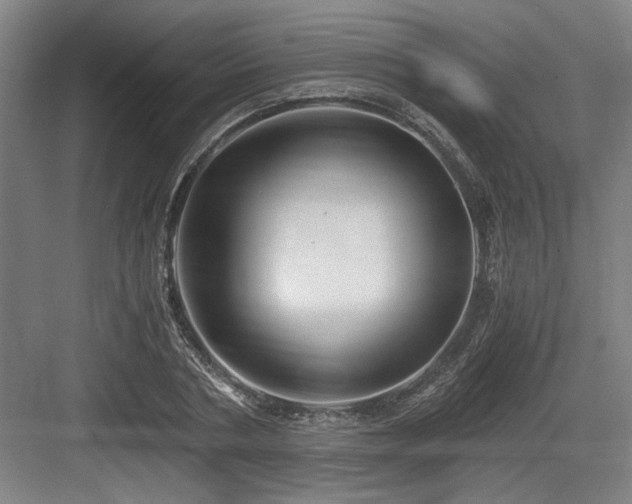 X0000084010786200702161200