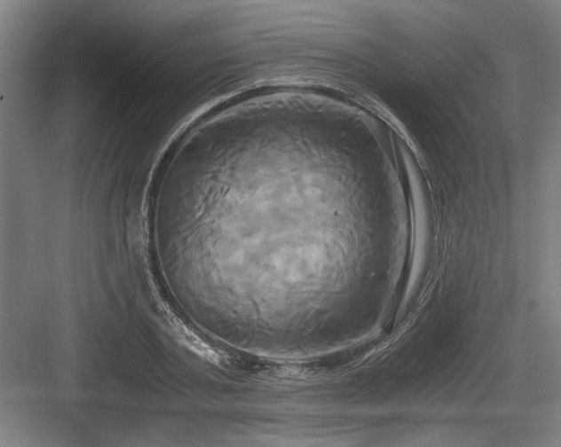 X0000084010787200702161200