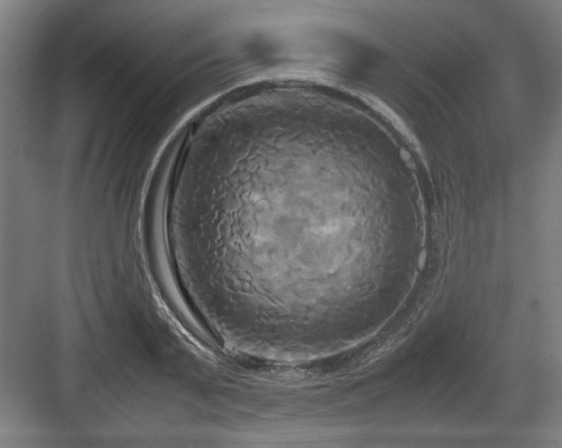 X0000084010791200702161200