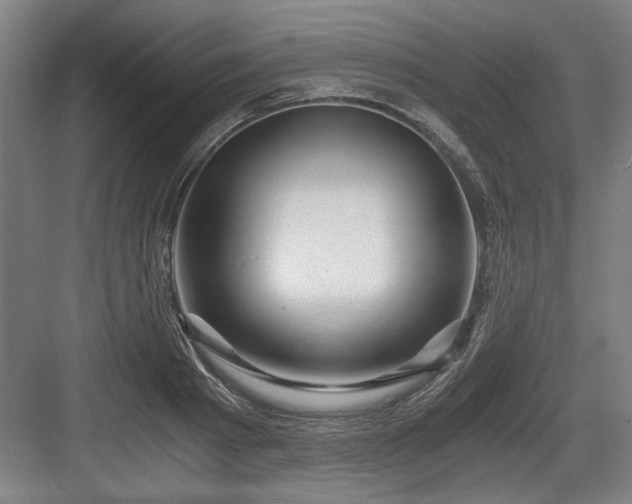 X0000084010793200702161200