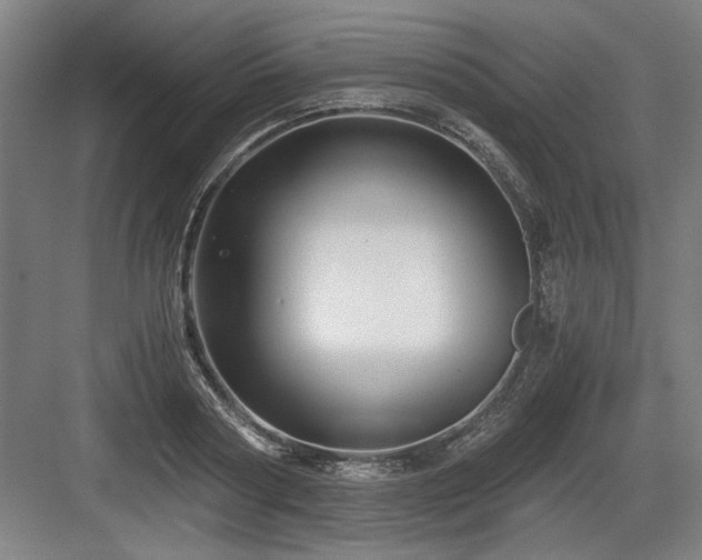X0000084010794200702161200