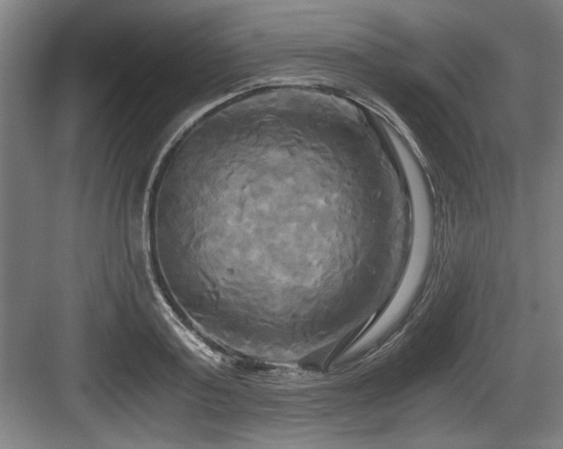 X0000084010795200702161200