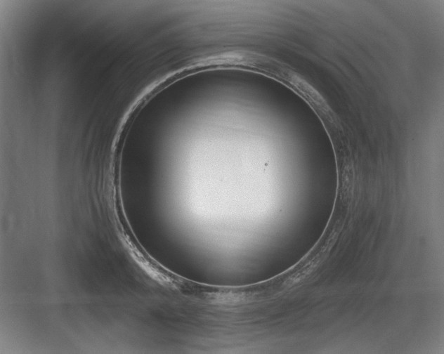 X0000084010800200702161200