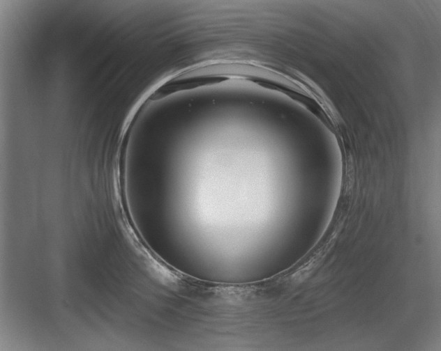 X0000084010812200702161200