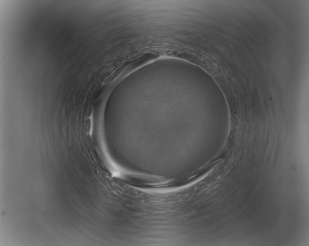 X0000084010818200702161159