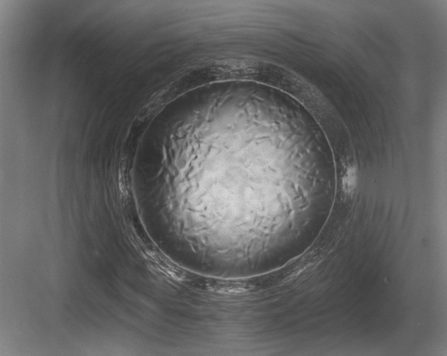 X0000084010819200702161159