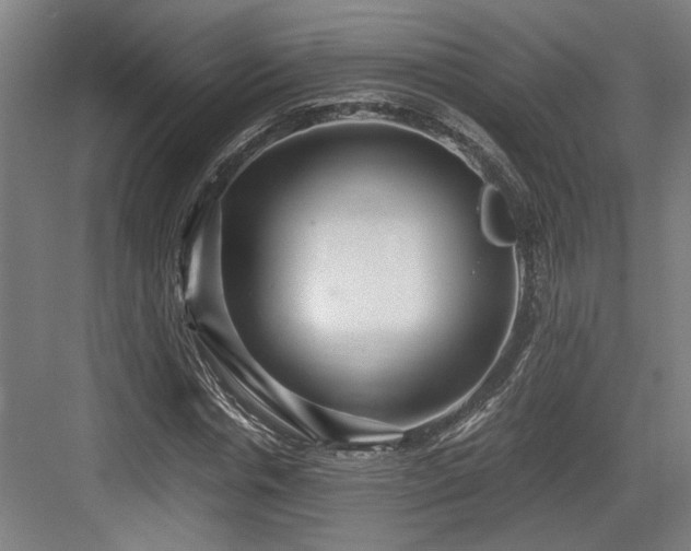 X0000084010826200702161159