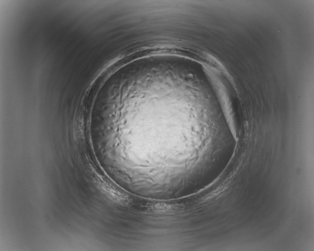 X0000084010827200702161159