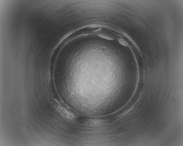 X0000084010829200702161159